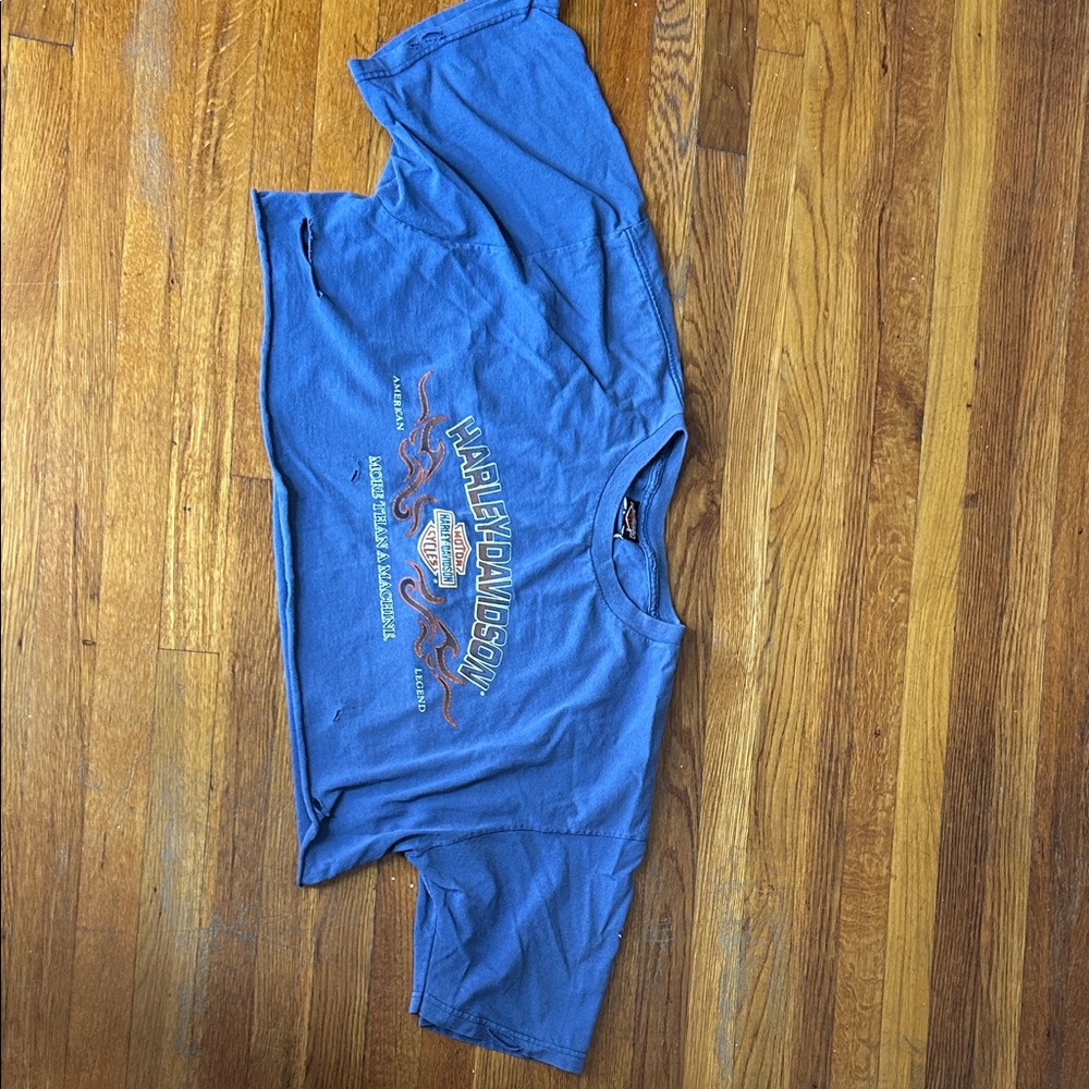 Harley-Davidson Blue Tee with Graphic Design